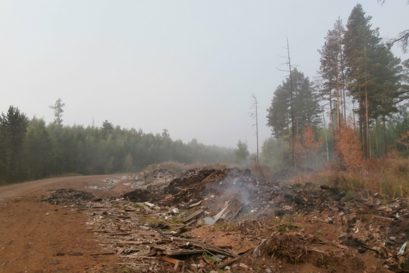 Авиа-лесоохрана о высокой пожарной опасности в 63 регионах страны